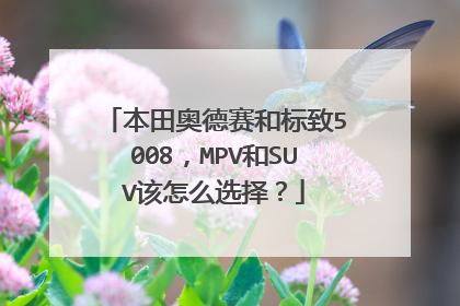 本田奥德赛和标致5008，MPV和SUV该怎么选择？