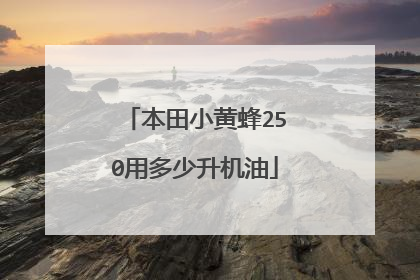 本田小黄蜂250用多少升机油