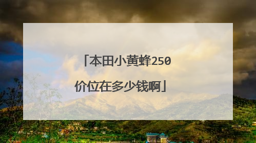 本田小黄蜂250价位在多少钱啊