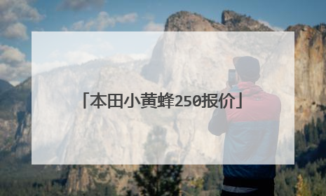 本田小黄蜂250报价