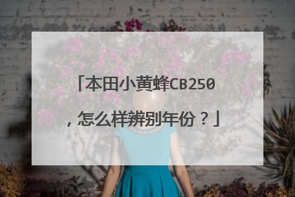 本田小黄蜂CB250，怎么样辨别年份？