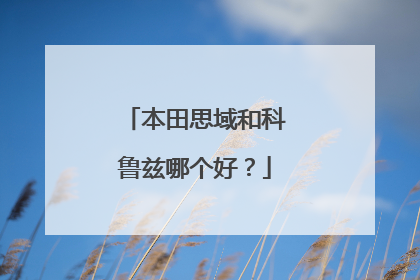 本田思域和科鲁兹哪个好？