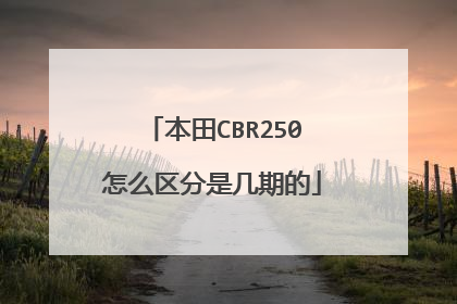 本田CBR250怎么区分是几期的