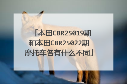 本田CBR25019期和本田CBR25022期摩托车各有什么不同