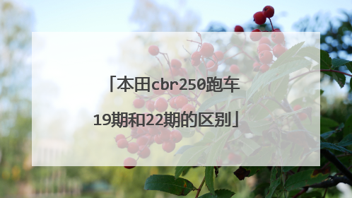 本田cbr250跑车19期和22期的区别