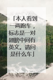 本人看到一两跑车，标志是一对翅膀中间有英文。请问是什么车