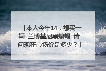 本人今年14，想买一辆 兰博基尼黑蝙蝠 请问现在市场价是多少？
