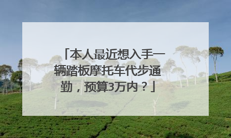 本人最近想入手一辆踏板摩托车代步通勤，预算3万内？