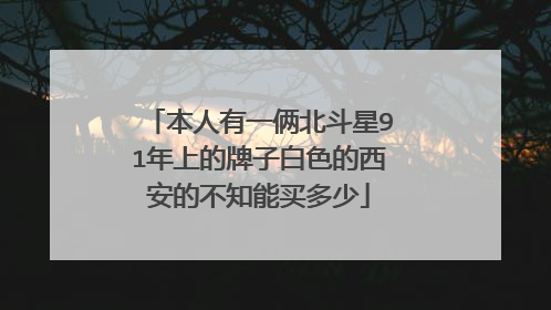 本人有一俩北斗星91年上的牌子白色的西安的不知能买多少