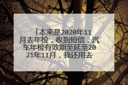 本来是2020年11月去年检，收到短信，汽车年检有效期至延至2021年11月，我还用去领年检标吗？
