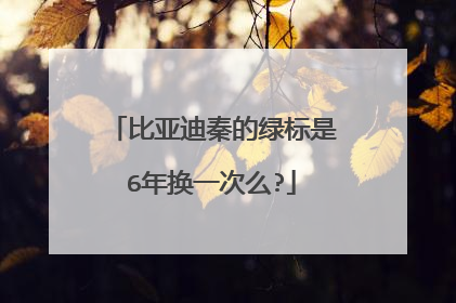 比亚迪秦的绿标是6年换一次么?