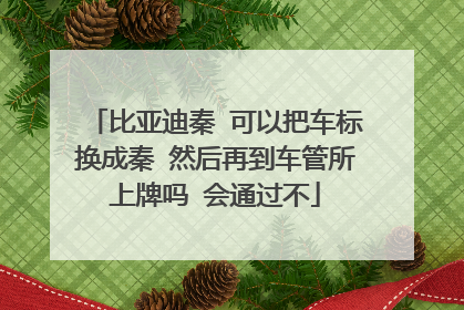 比亚迪秦 可以把车标换成秦 然后再到车管所上牌吗 会通过不