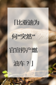 比亚迪为何“突然”官宣停产燃油车？