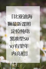 比亚迪海狮最新谍照 定位纯电紧凑型SUV/有望年内亮相