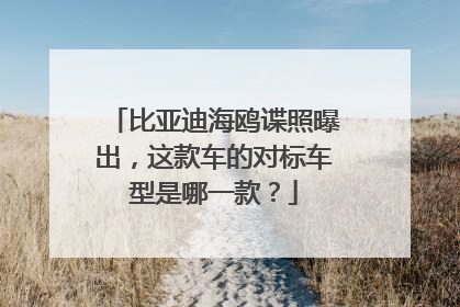 比亚迪海鸥谍照曝出，这款车的对标车型是哪一款？
