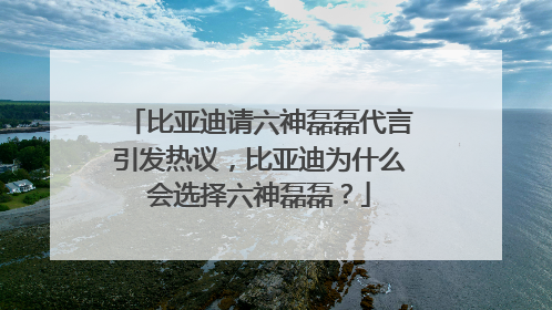 比亚迪请六神磊磊代言引发热议，比亚迪为什么会选择六神磊磊？