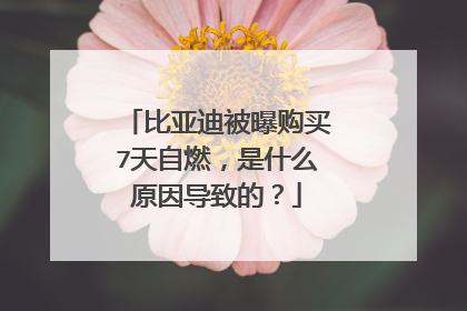 比亚迪被曝购买7天自燃，是什么原因导致的？