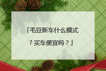 毛豆新车什么模式？买车便宜吗？