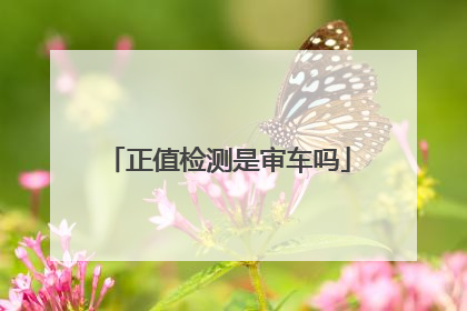 正值检测是审车吗