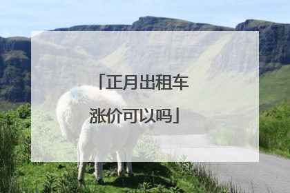 正月出租车涨价可以吗