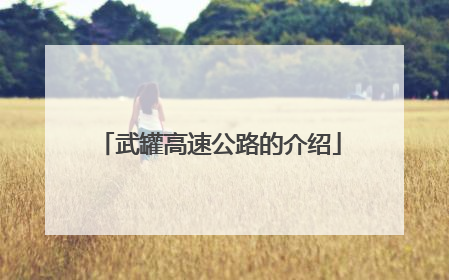 武罐高速公路的介绍