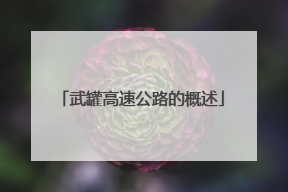 武罐高速公路的概述