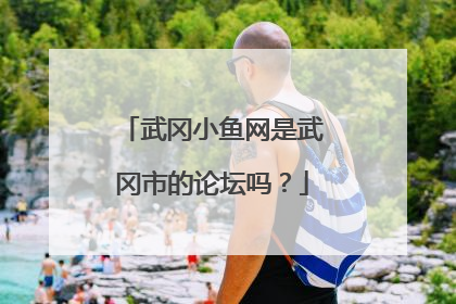 武冈小鱼网是武冈市的论坛吗？