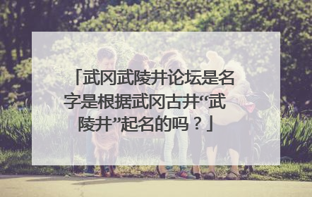 武冈武陵井论坛是名字是根据武冈古井“武陵井”起名的吗？
