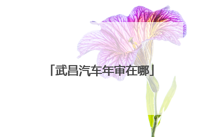 武昌汽车年审在哪