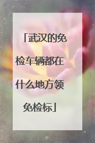 武汉的免检车辆都在什么地方领免检标