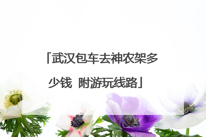 武汉包车去神农架多少钱 附游玩线路