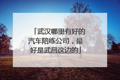 武汉哪里有好的汽车陪练公司，最好是武昌这边的