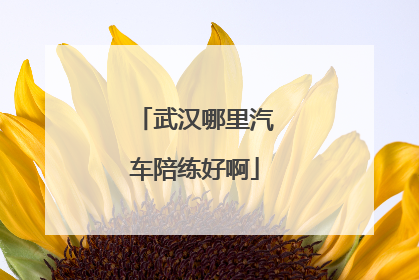 武汉哪里汽车陪练好啊