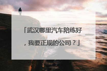 武汉哪里汽车陪练好，我要正规的公司？