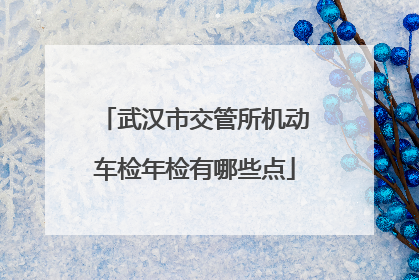 武汉市交管所机动车检年检有哪些点