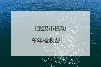 武汉市机动车年检收费