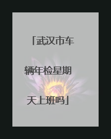 武汉市车辆年检星期天上班吗