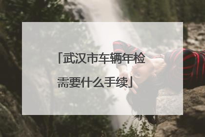 武汉市车辆年检需要什么手续