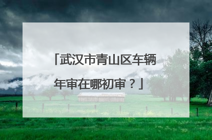 武汉市青山区车辆年审在哪初审？