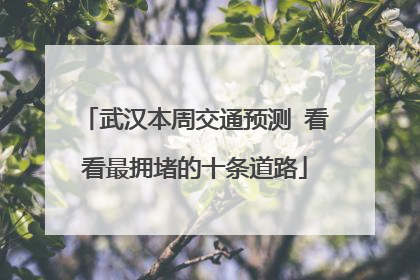 武汉本周交通预测 看看最拥堵的十条道路