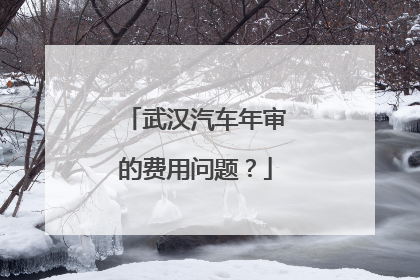武汉汽车年审的费用问题？