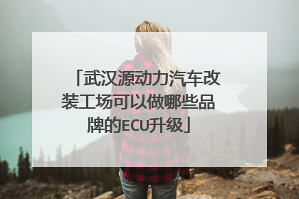 武汉源动力汽车改装工场可以做哪些品牌的ECU升级