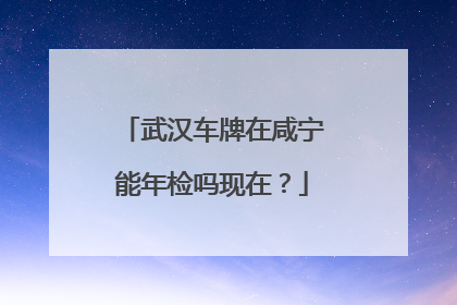 武汉车牌在咸宁能年检吗现在？