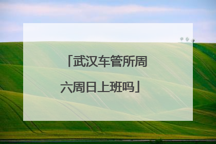武汉车管所周六周日上班吗