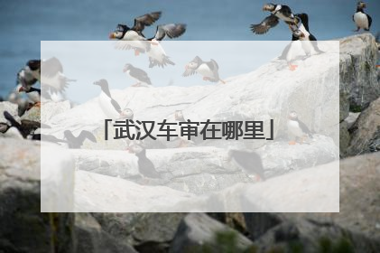 武汉车审在哪里