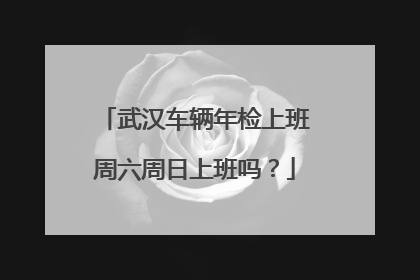武汉车辆年检上班周六周日上班吗？