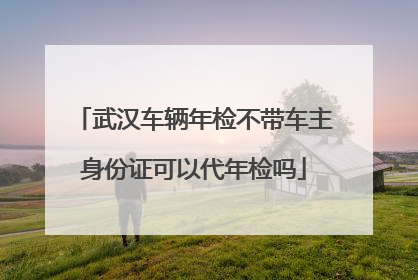 武汉车辆年检不带车主身份证可以代年检吗