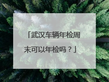 武汉车辆年检周末可以年检吗？