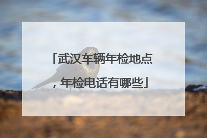 武汉车辆年检地点，年检电话有哪些