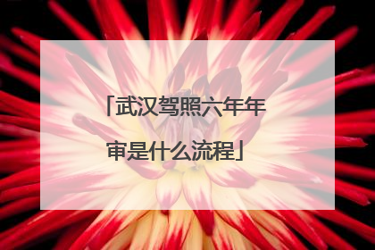 武汉驾照六年年审是什么流程